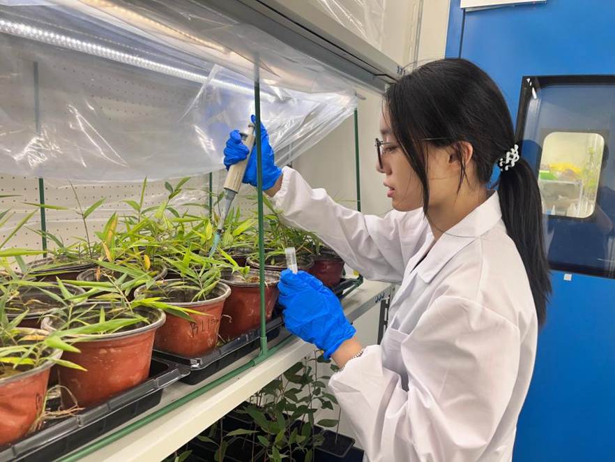 d46772c9797ee847ba10db41653d6984